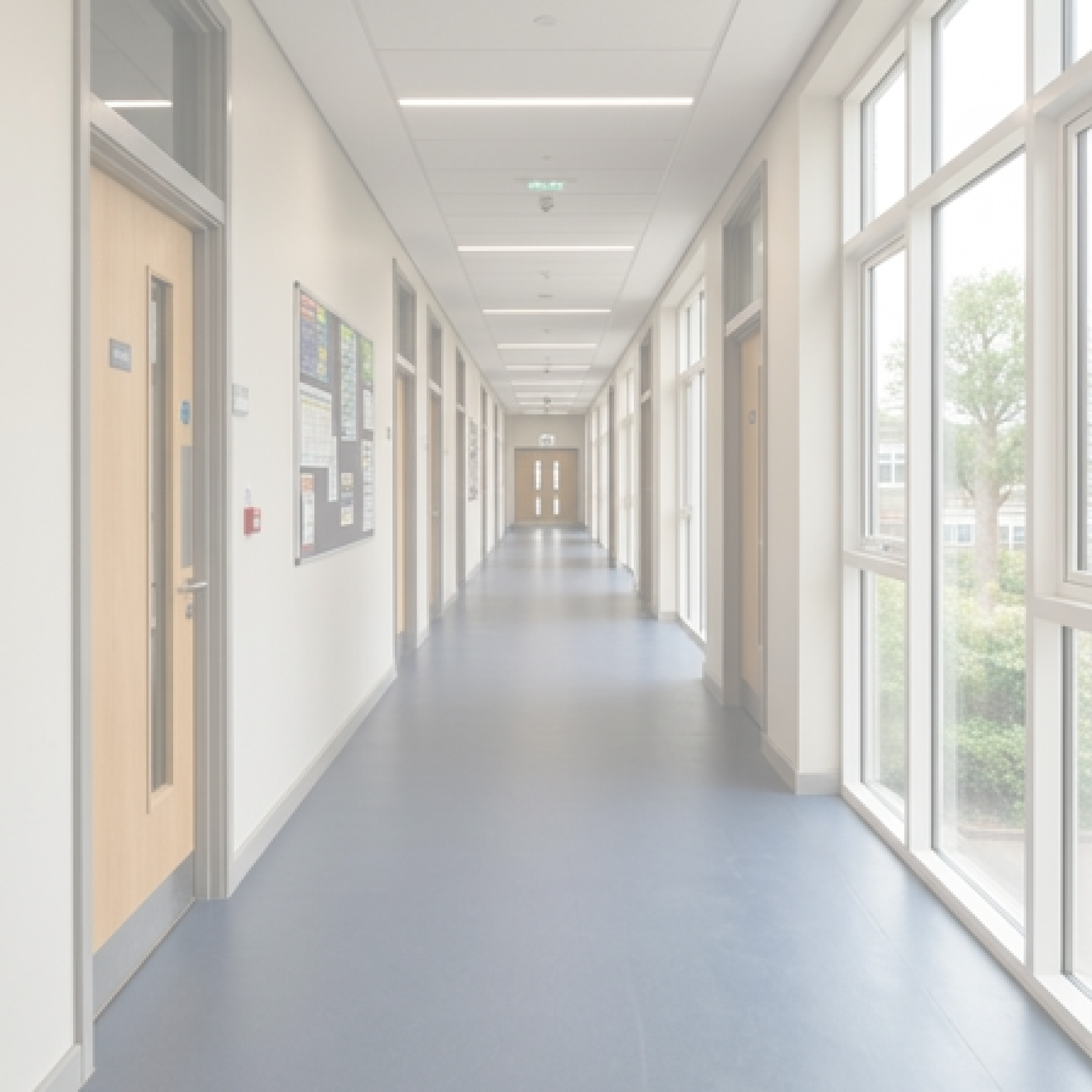 A long, empty school corridor with classroom doors closed and sunlight streaming through the windows